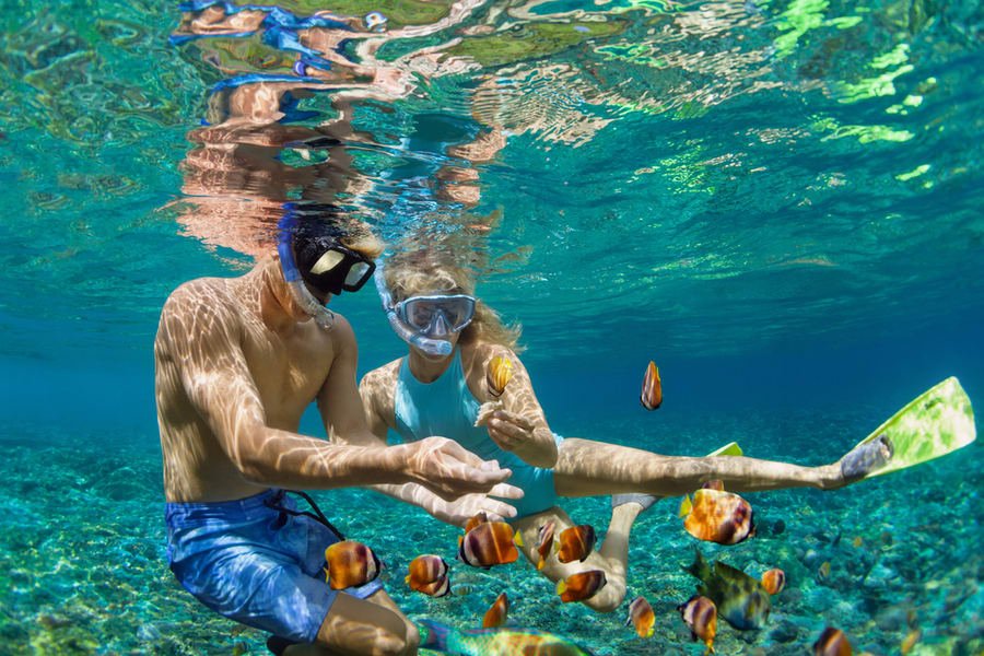 d0xwc8l3mcosj4sbr3o7cddavd55_snorkelling